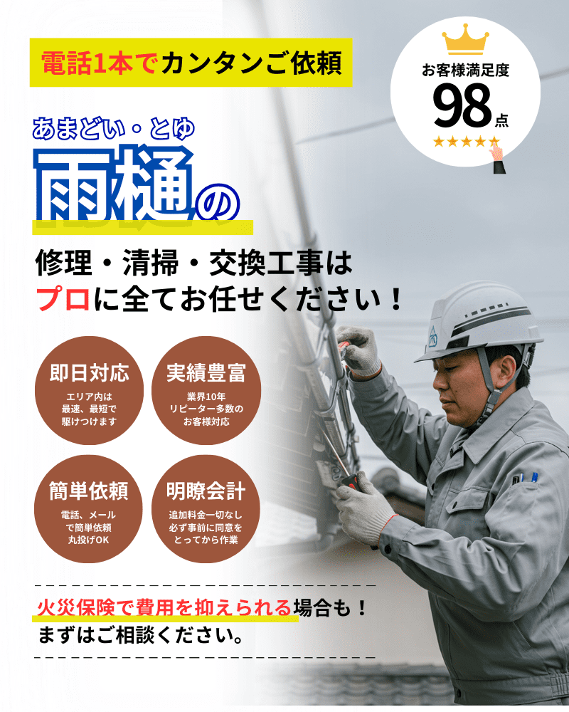 FVの画像